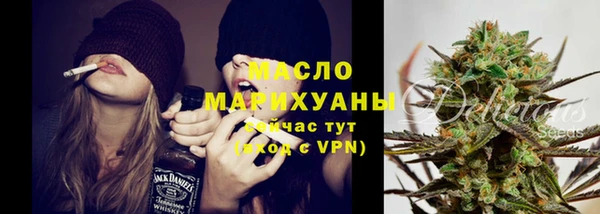 стаф Гусь-Хрустальный