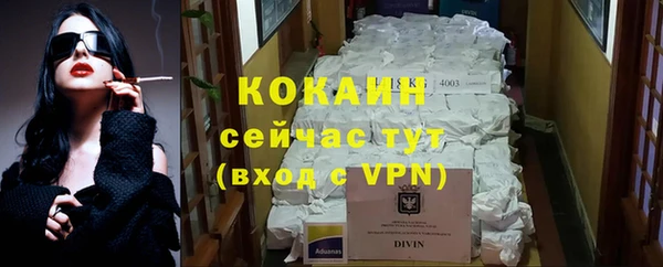 стаф Гусь-Хрустальный