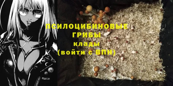 каннабис Гусиноозёрск