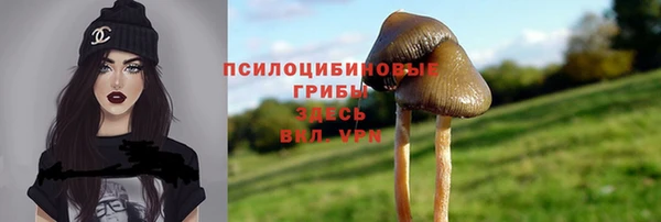 стаф Гусь-Хрустальный