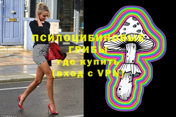 стаф Гусь-Хрустальный