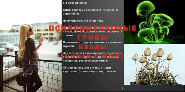 стаф Гусь-Хрустальный