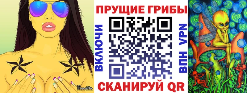 это клад  Богучар  Псилоцибиновые грибы Psilocybe  купить закладку 